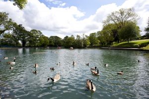 lister park 3 a sm.jpg